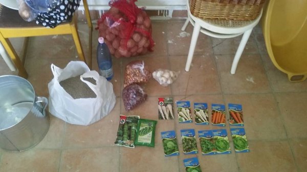 17264567_1794485010812653_5772167973276396722_n